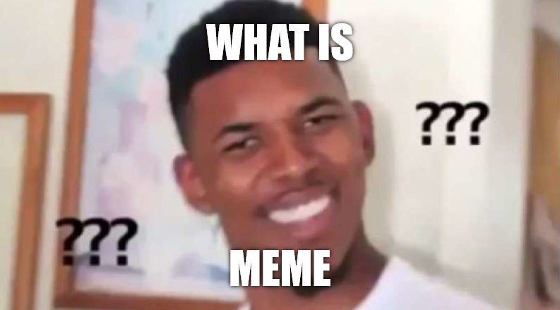 What Is a Meme